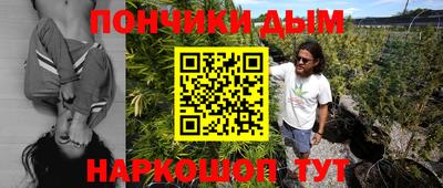 индика Беслан