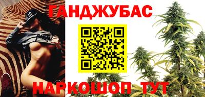 индика Беслан