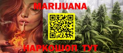 индика Беслан