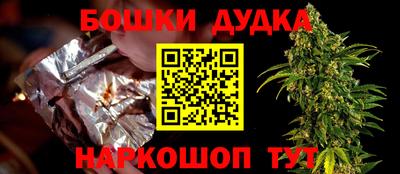 индика Беслан