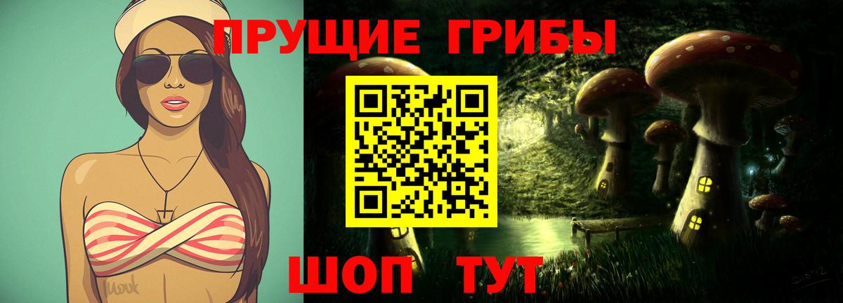 Жуковский  где продают наркотики  Псилоцибиновые грибы Magic Shrooms  Вход с VPN  Галлюциногенные грибы мицелий 