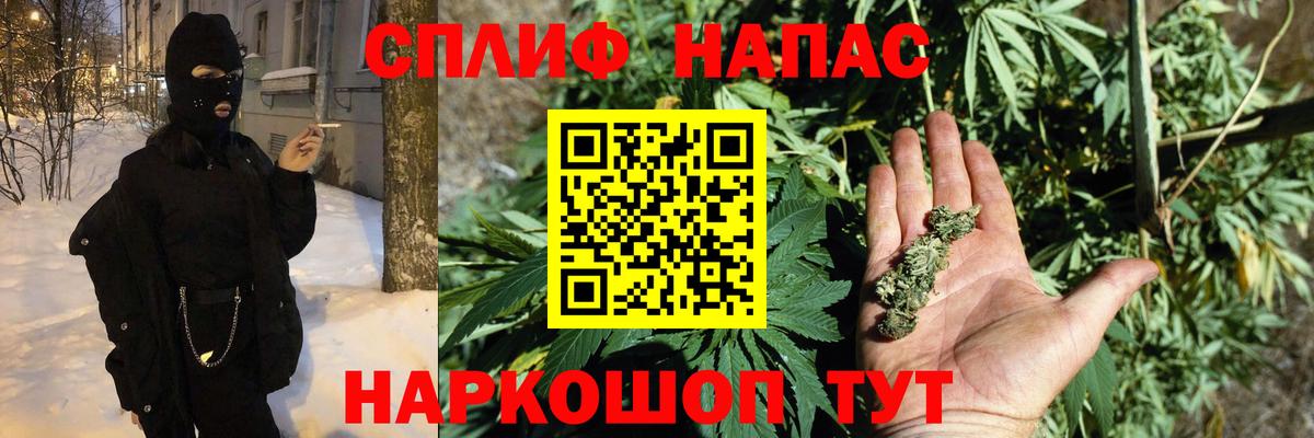 Каннабис индика Жуковский